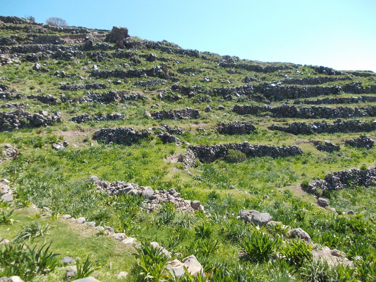 Ancient Sauna Pyria9