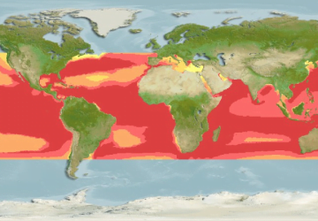 Coryphaena Hippurus7Map 360x250