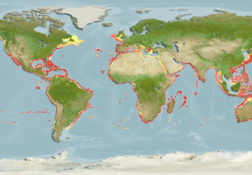 Ruvettus Pretiosus6Map 360x250