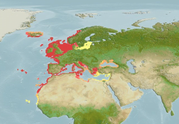 Sardina Pilchardus6Map 360x250