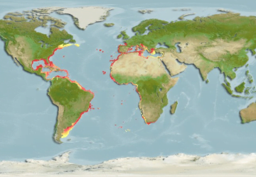 Scomber Colias8Map 360x250