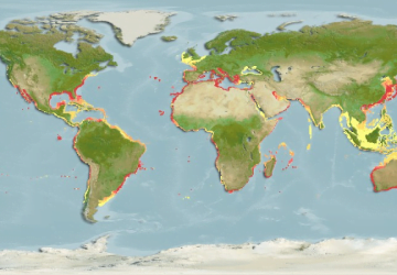 Sphyraena Sphyraena20Map 360x250