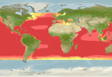 Thunnus Alalunga7Map 360x250